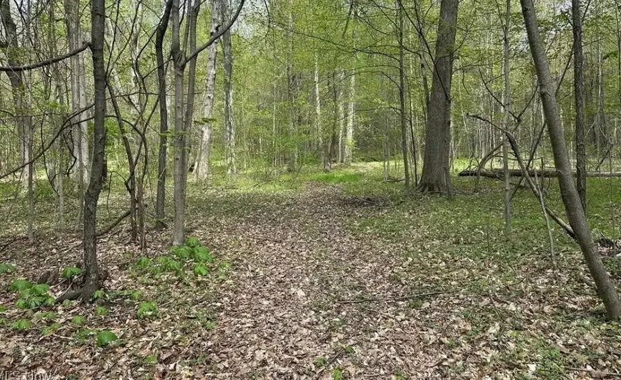 7610 State Route 309, Galion, OH 44833 - Image #3