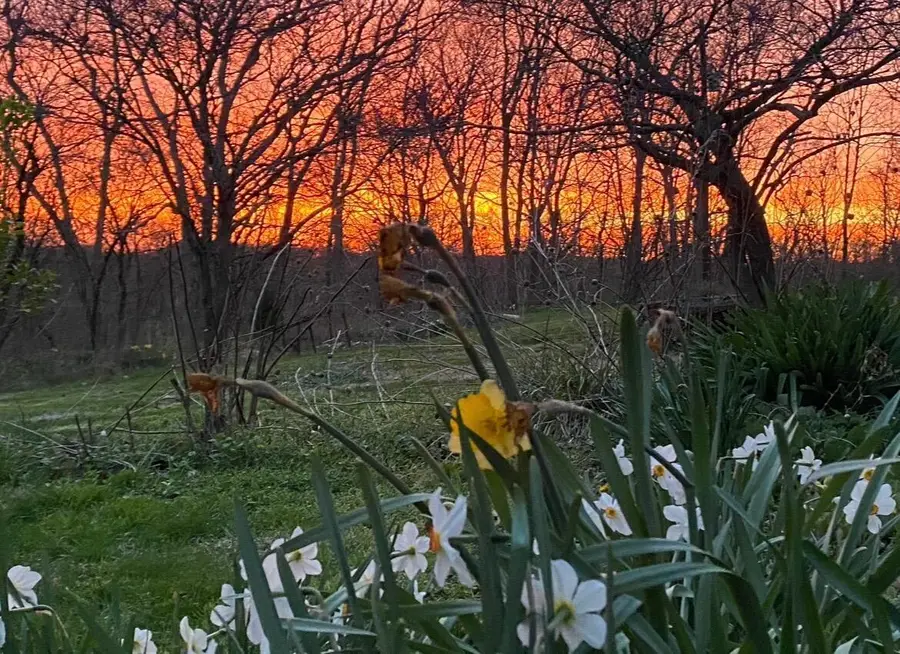 25805 Chillicothe Pike, Williamsport, OH 43164 - Image #2