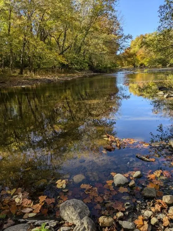 25805 Chillicothe Pike, Williamsport, OH 43164 - Image #3