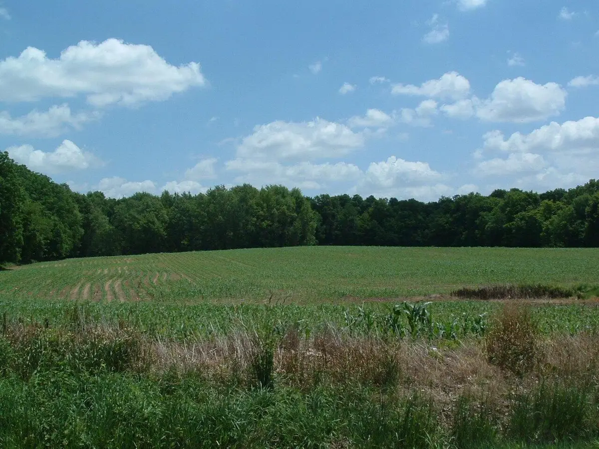 0 Clover Valley Road Nw, Johnstown, OH 43031 - Image #1