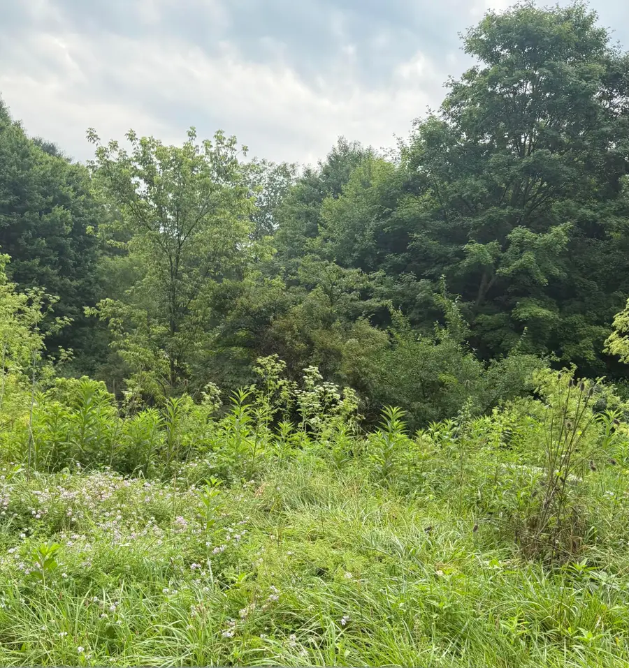 2100 Apple Valley Drive, Howard, OH 43028 - Image #2