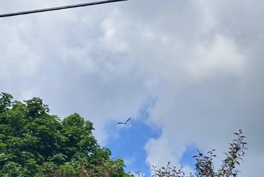 6238 Taggart Road, Delaware, OH 43015 - Image #3