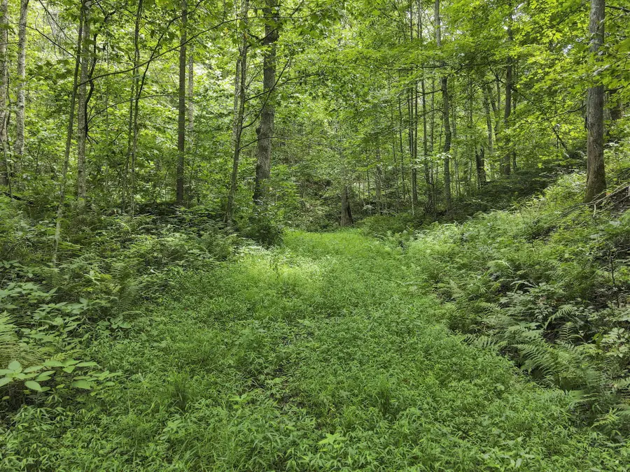 23584 Conrad Road, South Bloomingville, OH 43152 - Image #2