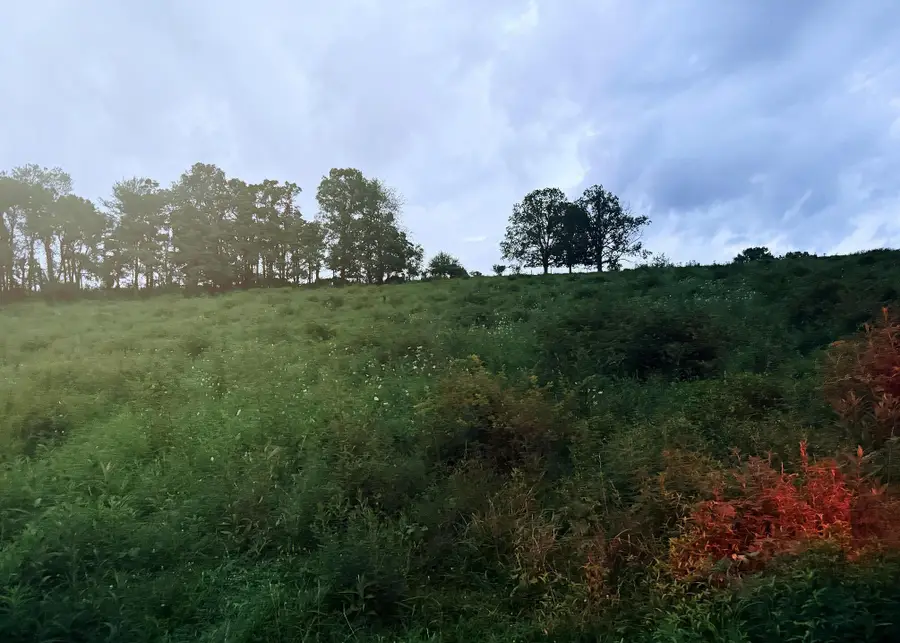 0 Martinsburg Road, Saint Louisville, OH 43071 - Image #2