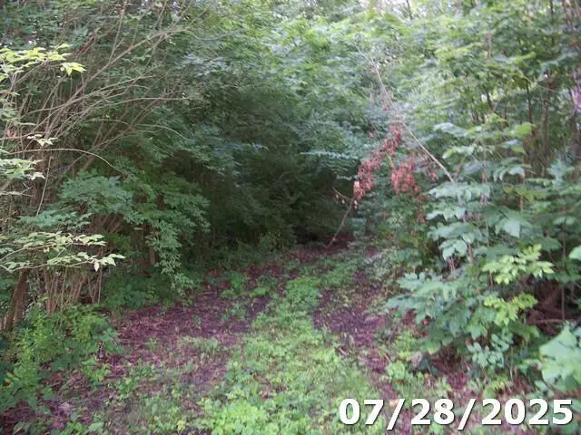 0 Owens Road E, Marion, OH 43302 - Image #2