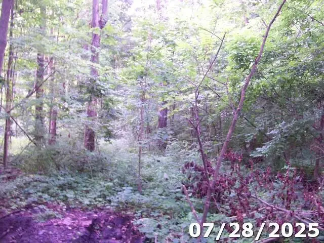 0 Owens Road E, Marion, OH 43302 - Image #3