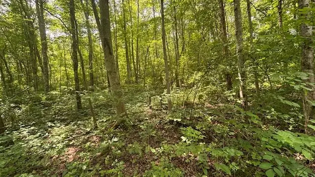 14500 Wolfe Road, Amesville, OH 45711 - Image #3