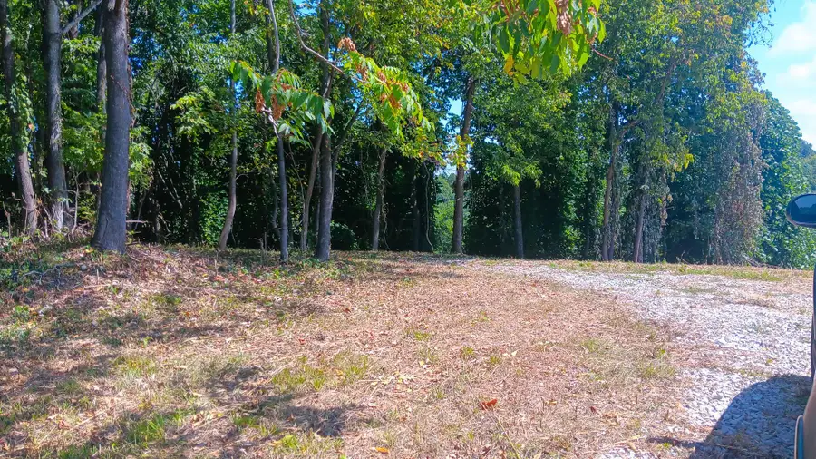 2776 Wells Run Road, Crown City, OH 45623 - Image #2