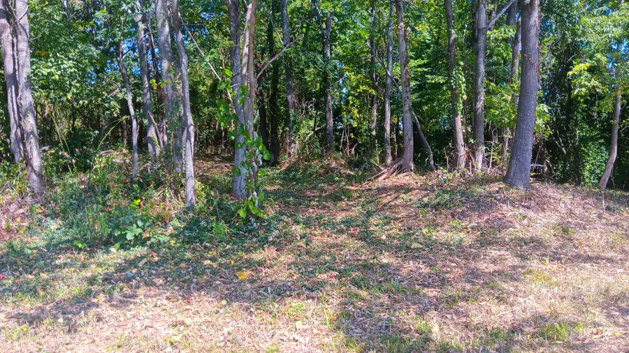 2776 Wells Run Road, Crown City, OH 45623 - Image #3