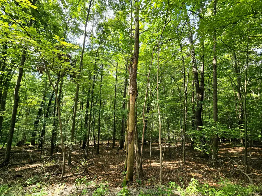 1756 Mohican Lane, Hide A Way Hills, OH 43107 - Image #2