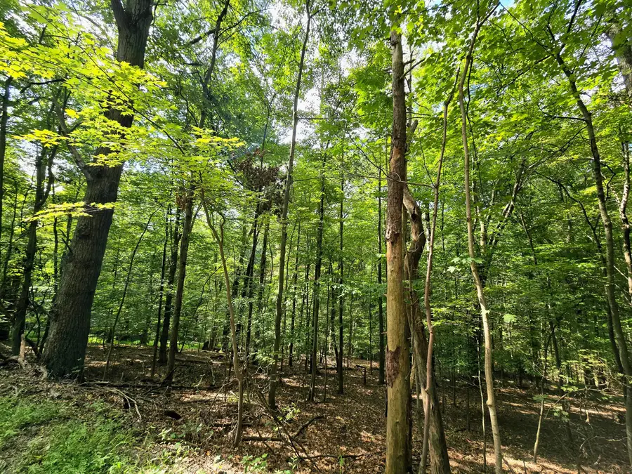 1756 Mohican Lane, Hide A Way Hills, OH 43107 - Image #3