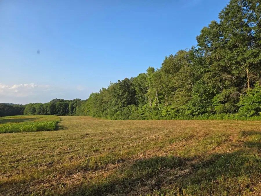 24310 Shurtz Road, New Plymouth, OH 45654 - Image #3