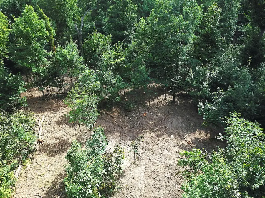 0 N Dean Road, Ostrander, OH 43061 - Image #3