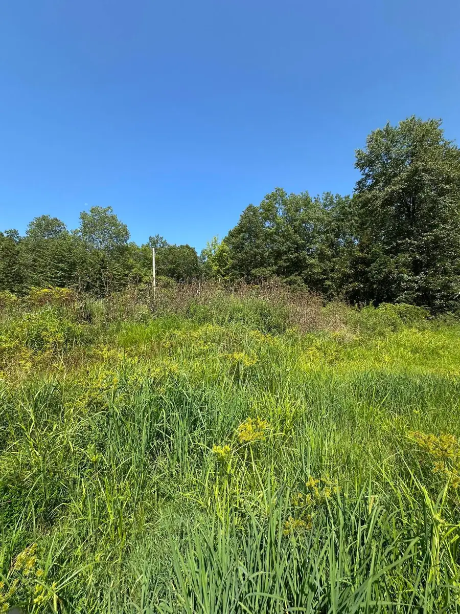 13877 Portie Flamingo Road Se, Corning, OH 43730 - Image #3