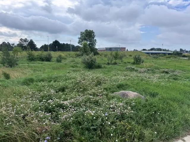 0 Township Rd 217, Bellefontaine, OH 43311 - Image #2