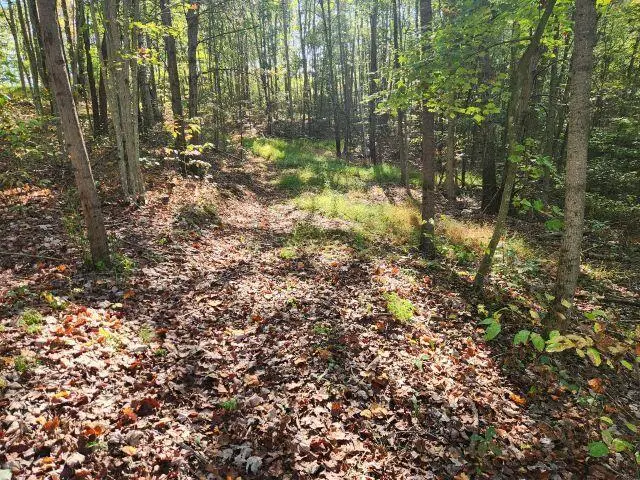 23047 Chestnut Grove Road, South Bloomingville, OH 43152 - Image #2