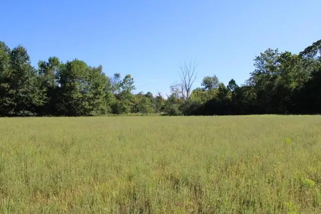 0 Twp Rd. 218, Marengo, OH 43334 - Image #3