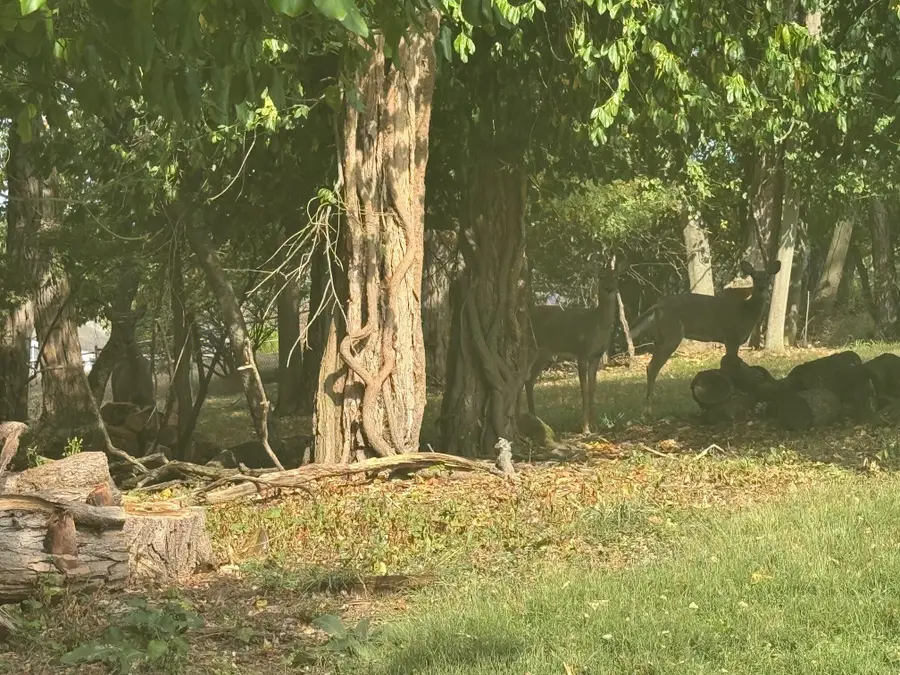 36B Harding Road, Zanesville, OH 43701 - Image #3