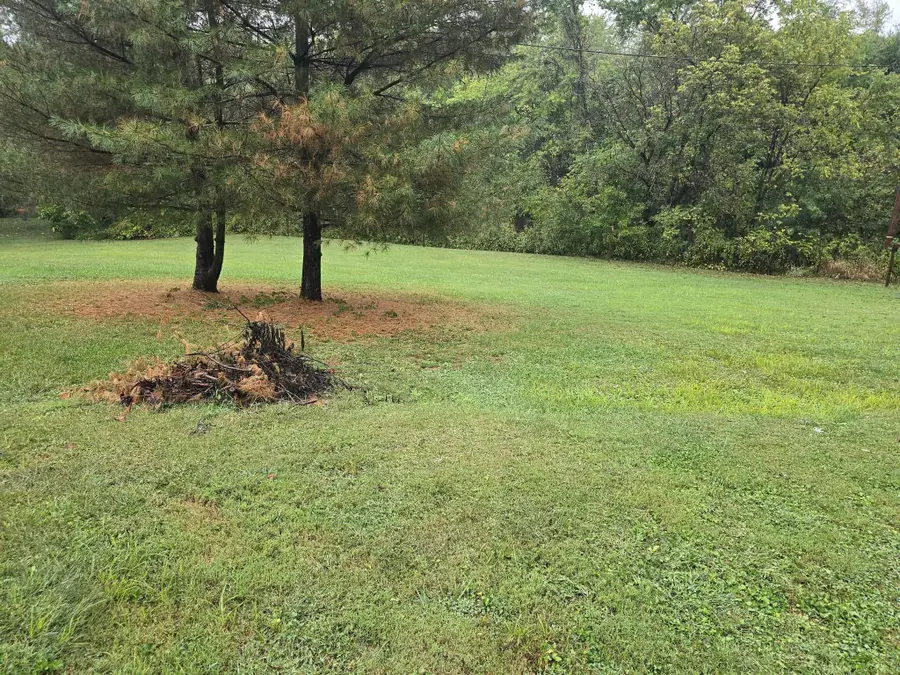 202 Meek Avenue, Byesville, OH 43723 - Image #3