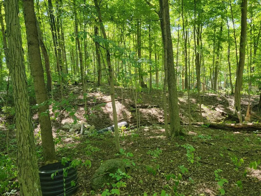 6152 Jaycox Road, Galena, OH 43021 - Image #3