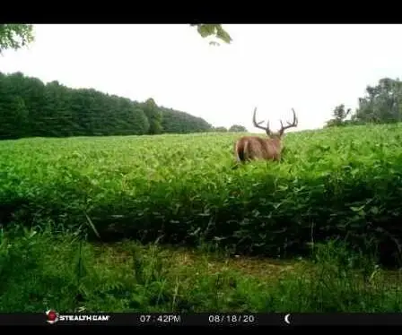 0 Mckinney Road, Piketon, OH 45661 - Image #3