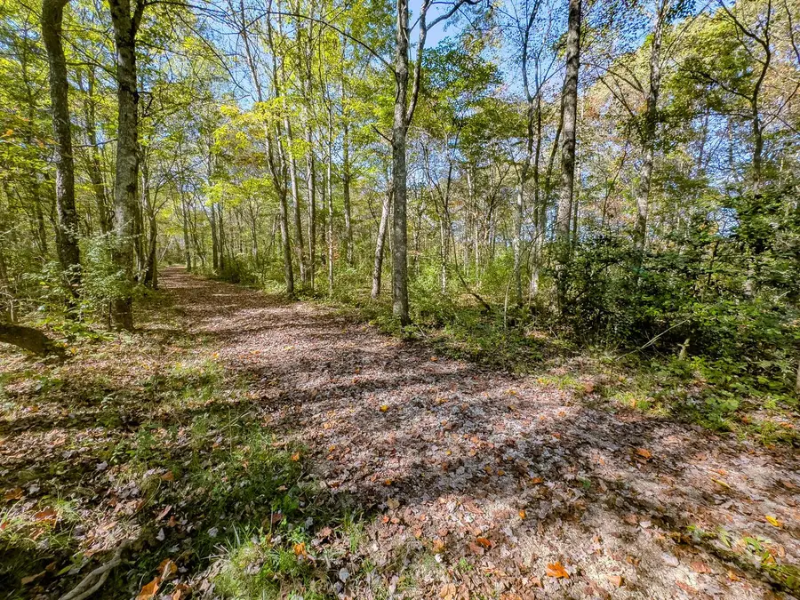 Parcel 3 Bethel Road, New Plymouth, OH 45654 - Image #2