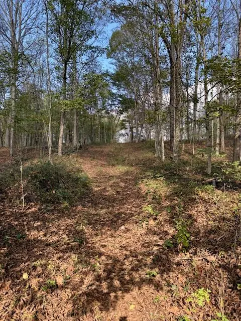 0 Red Rock Road, Glouster, OH 45732 - Image #1