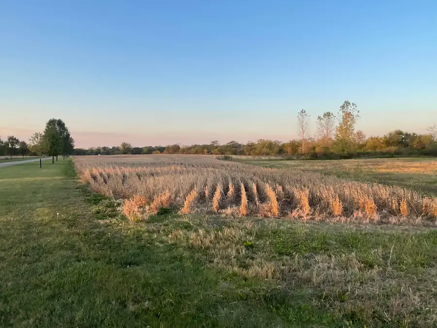 0 Washington Waterloo Road Ne, Washington Court House, OH 43160 - Image #2