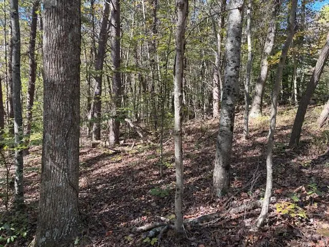 9847 Stage Road, Logan, OH 43138 - Image #2