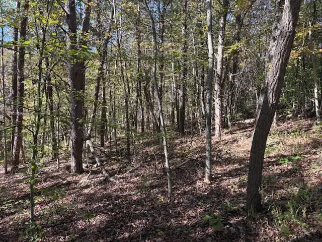 9847 Stage Road, Logan, OH 43138 - Image #3