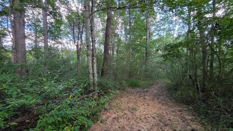 7783 Township Road 216 Se, Corning, OH 43730 - Image #2