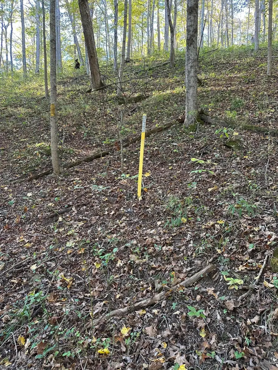 39454 Boston Road, Reedsville, OH 45772 - Image #3