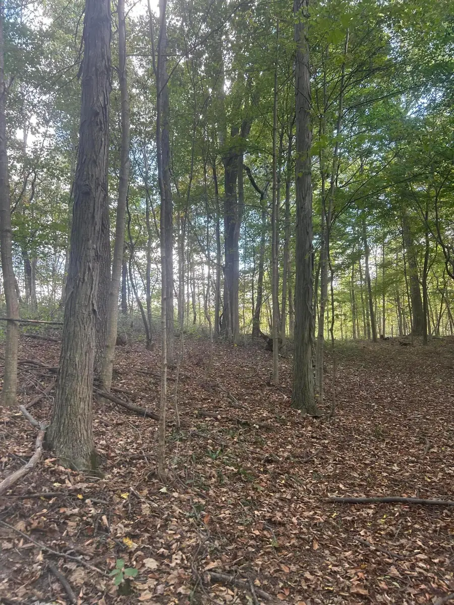 682 County Road 204, Centerburg, OH 43011 - Image #2