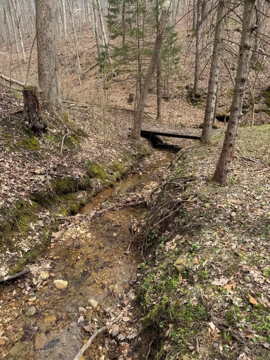 0 Bellia Rd Road, Laurelville, OH 43135 - Image #2