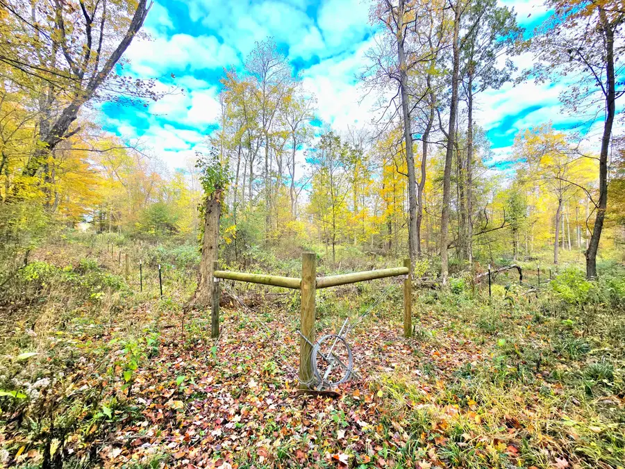 6054 Township Road 183, Cardington, OH 43315 - Image #3