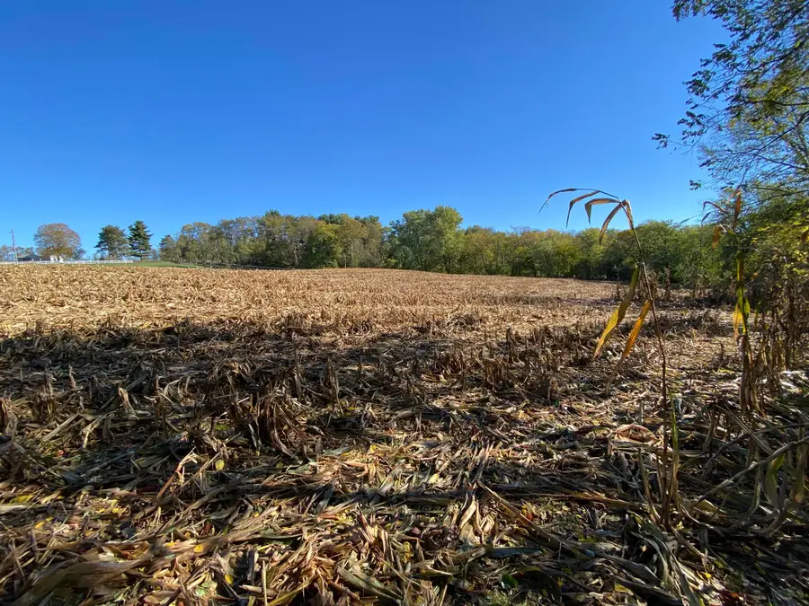 1764 Hallie Lane, Granville, OH 43023 - Image #3