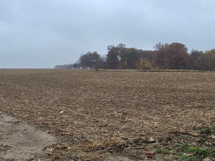 9513 State Route 736, Plain City, OH 43064 - Image #3