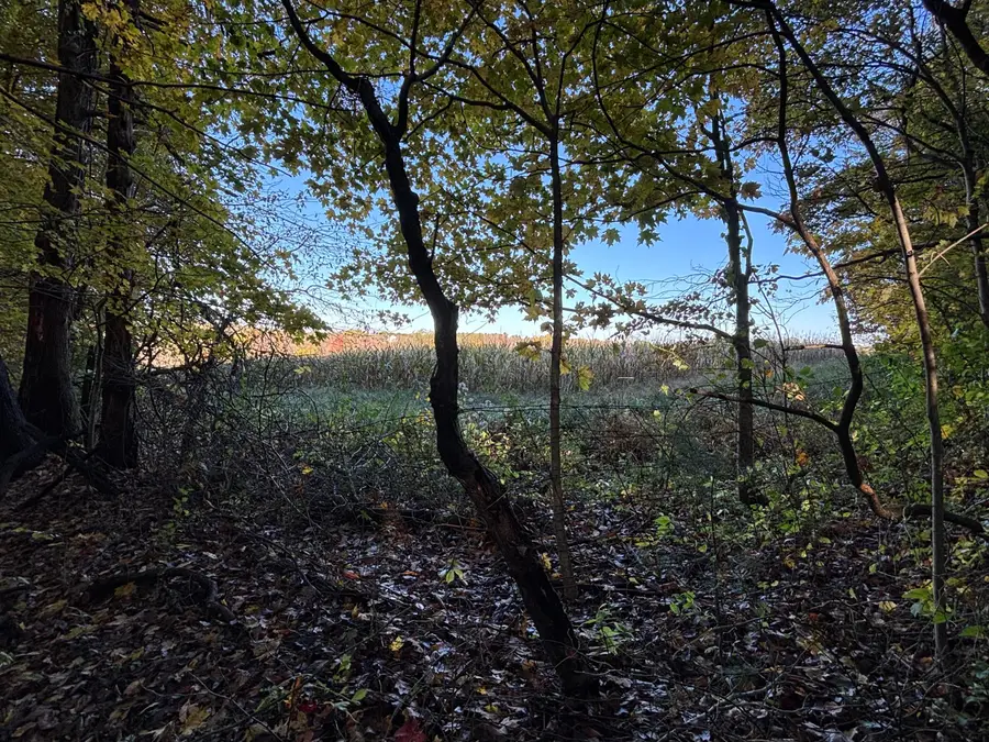 0 Township Rd 44, Somerset, OH 43783 - Image #2