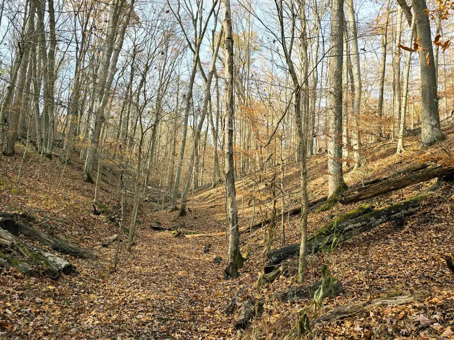 1832 Piegan Court, Hide A Way Hills, OH 43107 - Image #3