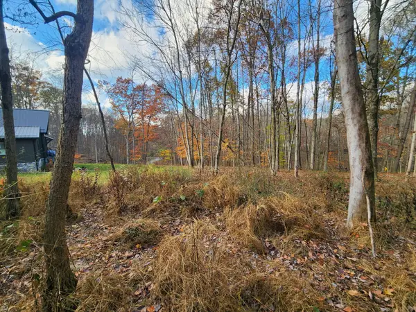 0 King Beach Drive, Howard, OH 43028