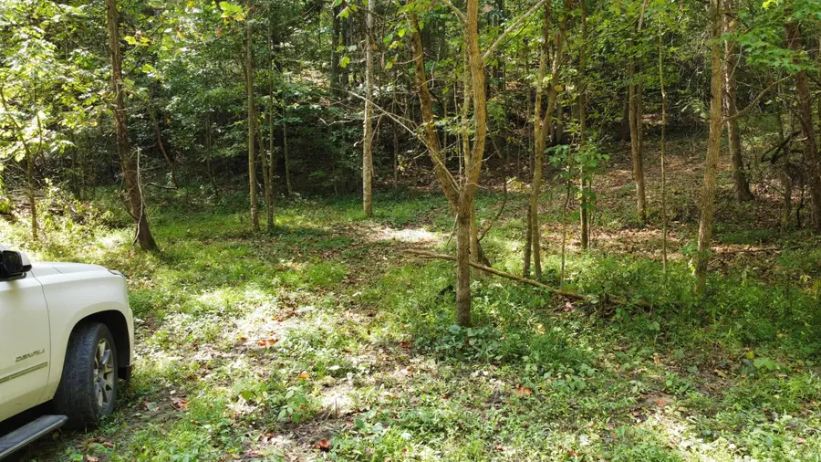 0 Beech Fork Road, Peebles, OH 45660 - Image #3