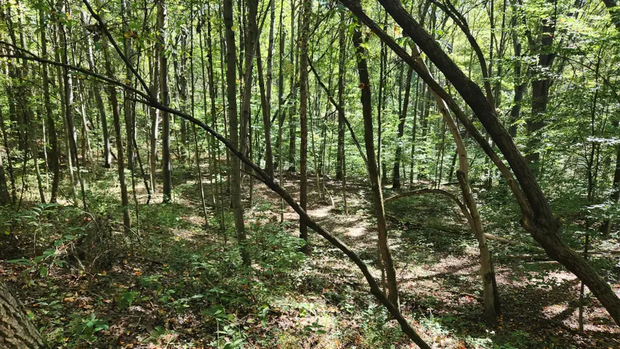 929 Poplar Ridge Road, Gallipolis, OH 45631 - Image #2