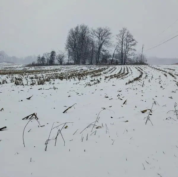 0 Maxwell Road, Lexington, OH 44904