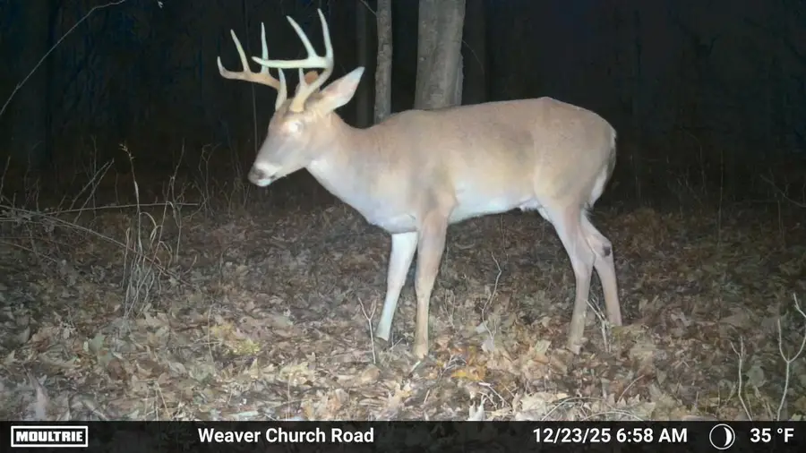 33056 Weaver Church Road, Albany, OH 45710 - Image #3