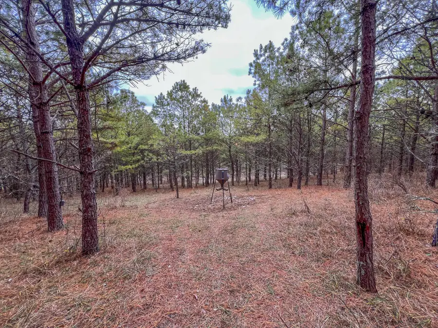 0 Oakland Church Road, Chandlersville, OH 43727 - Image #3