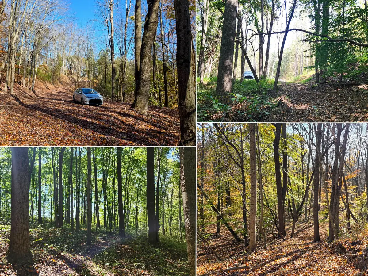 871 Poplar Ridge Road, Gallipolis, OH 45631 - Image #1