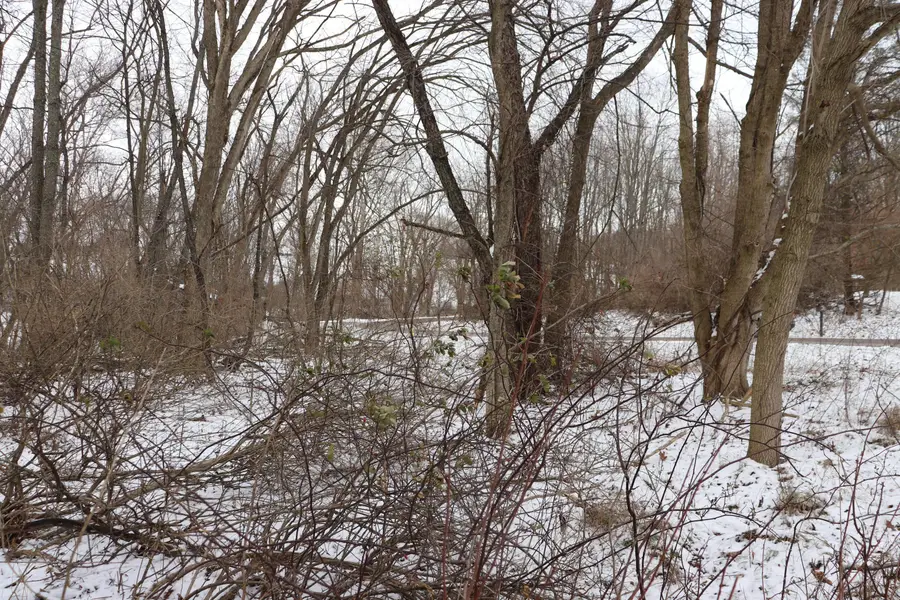 0 Mcintosh Court, Howard, OH 43028 - Image #3