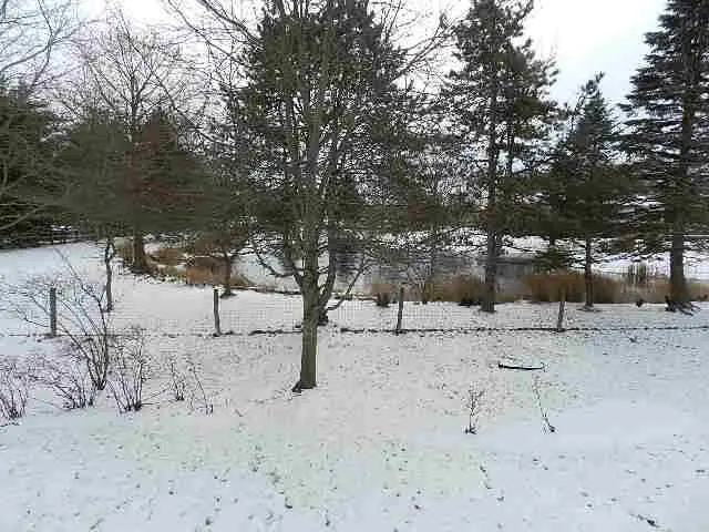 7057 Firenza Place, Dublin, OH 43016 - Image #2