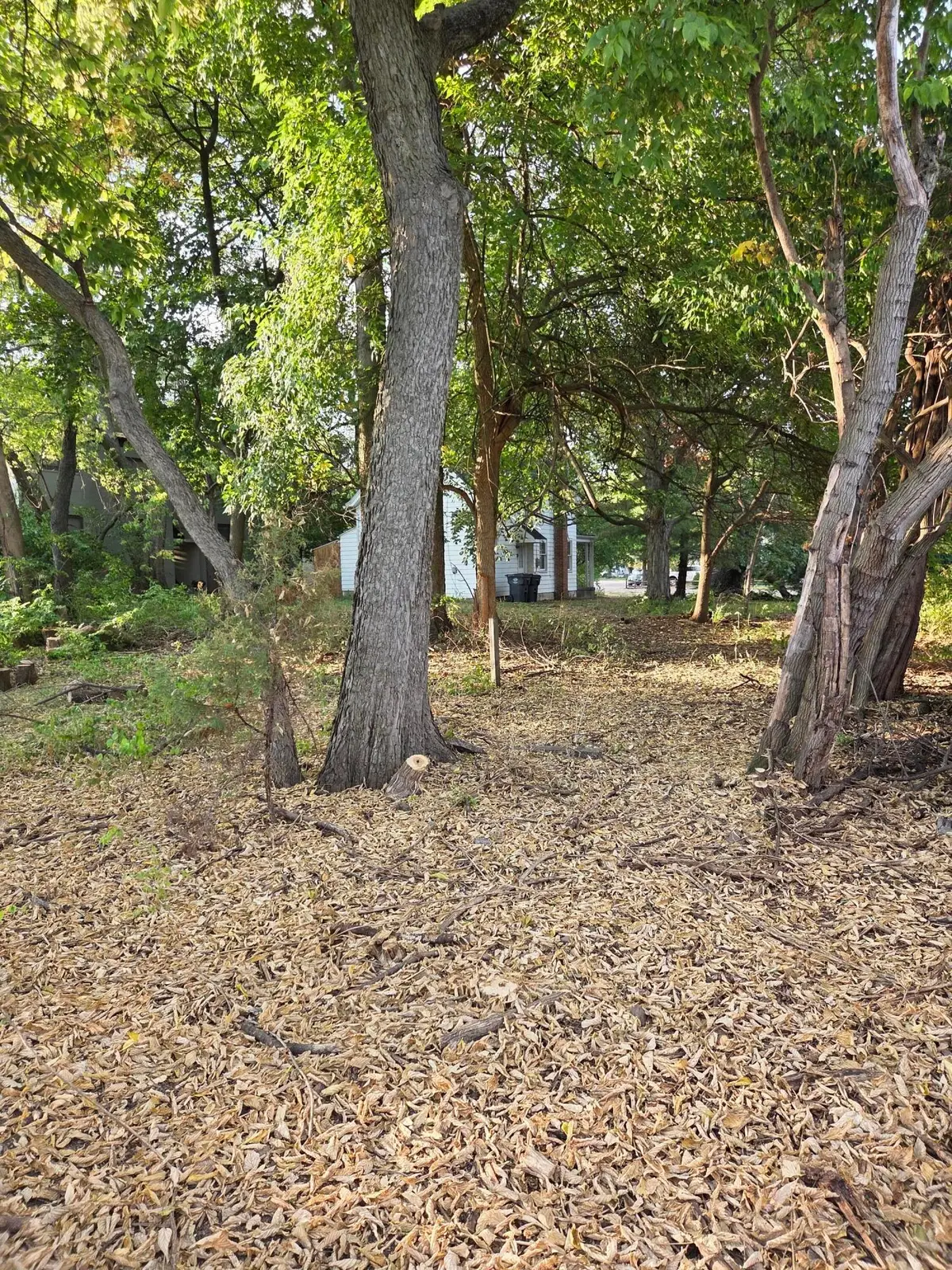 945 Chambers Road, Columbus, OH 43212 - Image #1