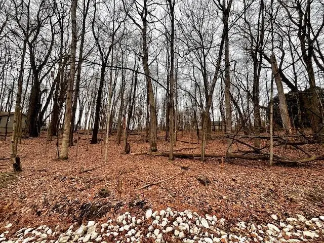 0 Northern Spy Drive, Howard, OH 43028 - Image #1